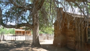 PICTURES/Grafton Ghost Town - Utah/t_Louisa Russell & Alonzo Russell Homes.JPG